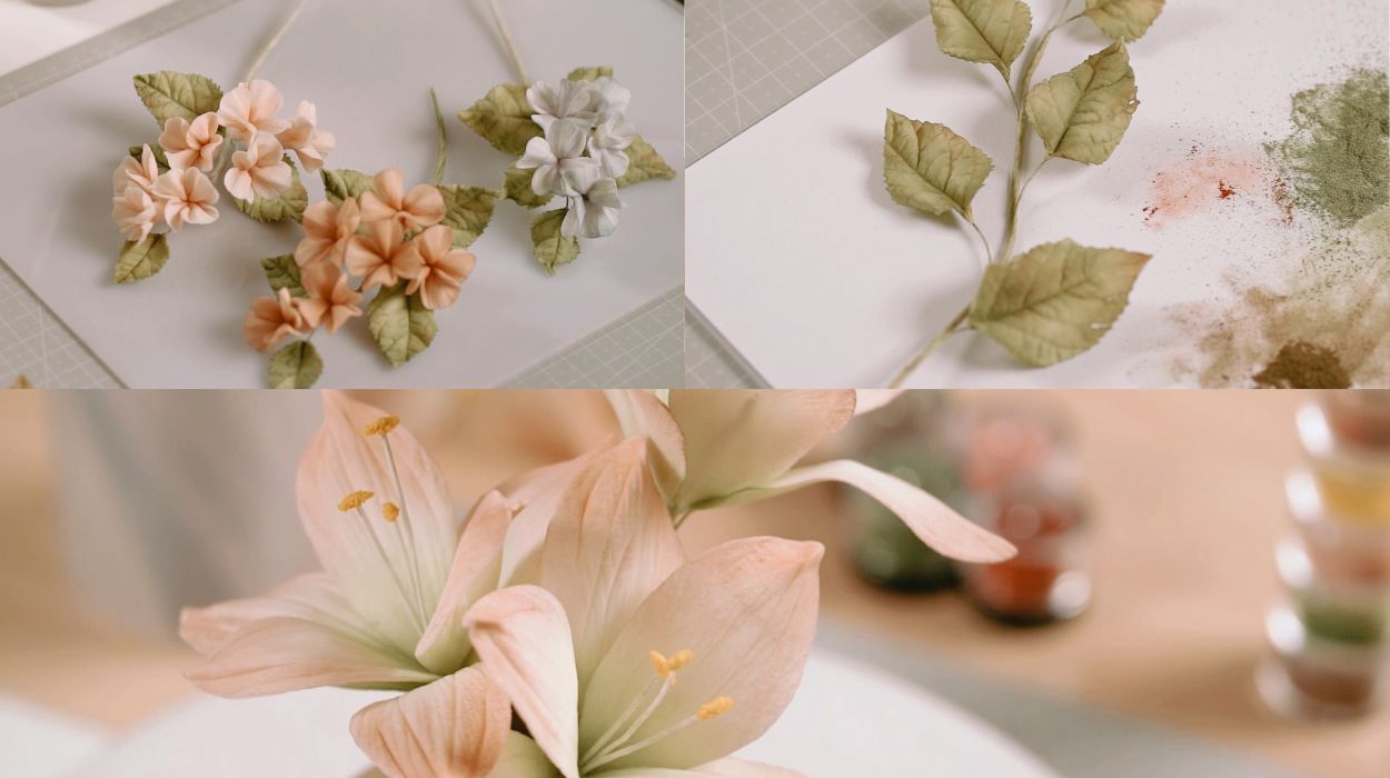 blog